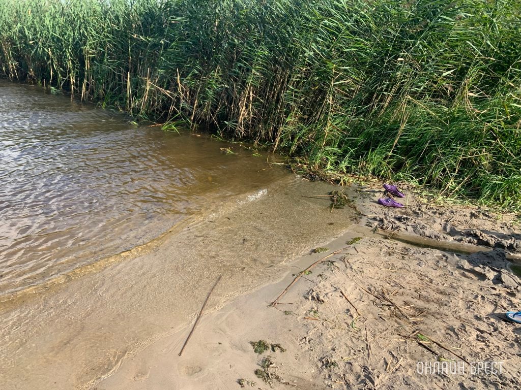 Фото носит иллюстративный характер