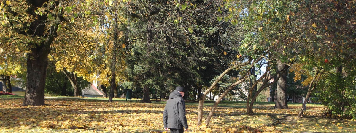 Минуса пока не будет — погода в Гродно на неделю