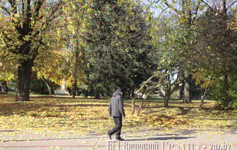 Минуса пока не будет — погода в Гродно на неделю