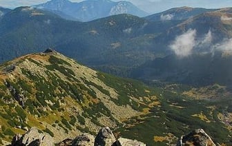 Белоруска погибла, убегая от медведя в горах Словакии
