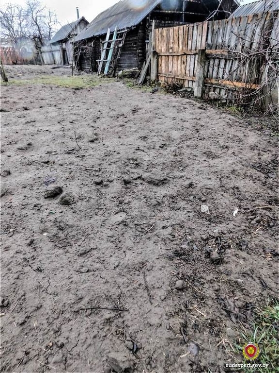В Краснопольском районе сосед поджег сарай дачника из-за многолетней вражды. Что не поделили?