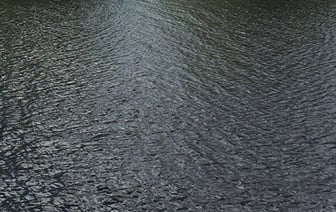 Трагедия в Бресте: мужчина прыгнул с моста в реку Мухавец