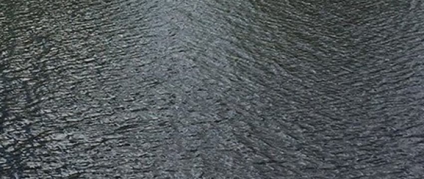 Трагедия в Бресте: мужчина прыгнул с моста в реку Мухавец