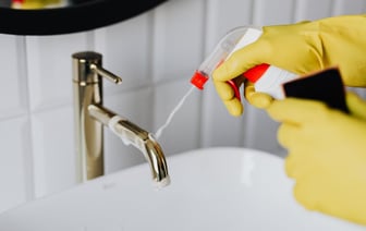 Как избавиться от пауков в доме без дихлофоса? Этот натуральный спрей справится лучше спецсредств — Полезно