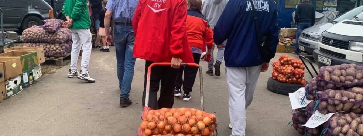 В МАРТ рассказали, сколько справок и документов нужно белорусам, чтобы продать картошку со своей дачи — Полезно