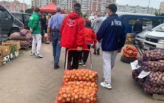 В МАРТ рассказали, сколько справок и документов нужно белорусам, чтобы продать картошку со своей дачи — Полезно