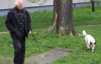 Повышение налога для владельцев собак: размеры и последствия невыплаты