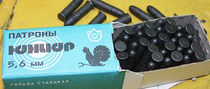 В Гомеле осудили мужчину из-за забытых в диване патронов