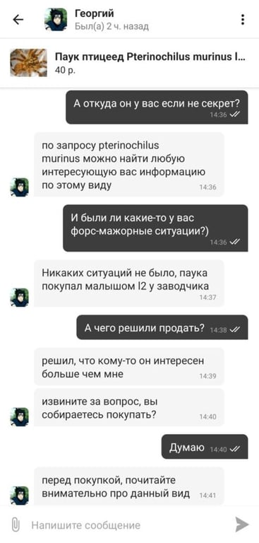 Телефон за 100 млн, ядовитый паук и хлеб зубной работы. Нашли три странных товара на Куфаре