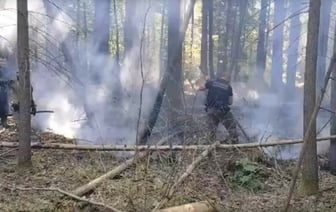 На польском участке Беловежской пущи рядом с границей Беларуси произошёл пожар — Видео