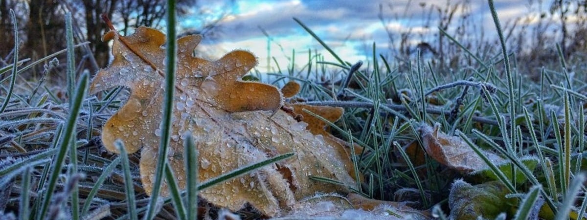 Когда в Беларуси ударят заморозки до -4°С? Синоптики предупредили о циклоне, который уже принёс в РФ мокрый снег — Видео