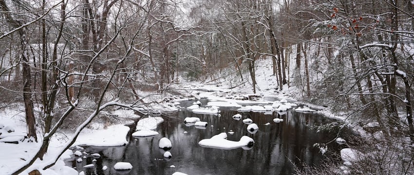 В Полоцке залили бесплатный каток. Одним из первых лёд опробовал глава города