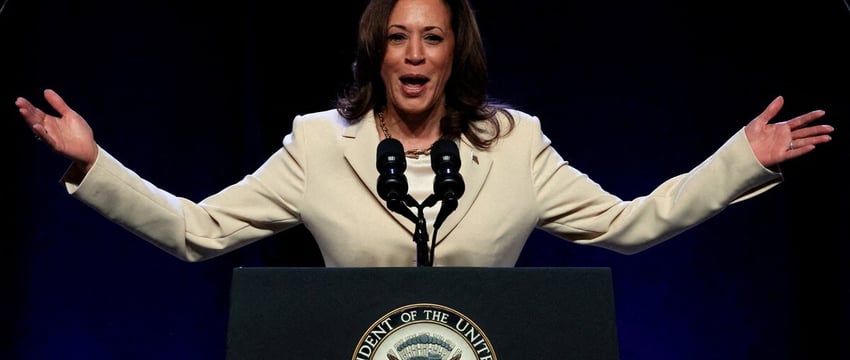 Группа, поддержавшая Никки Хейли в противостоянии с Дональдом Трампом, теперь поддерживает Камалу Харрис