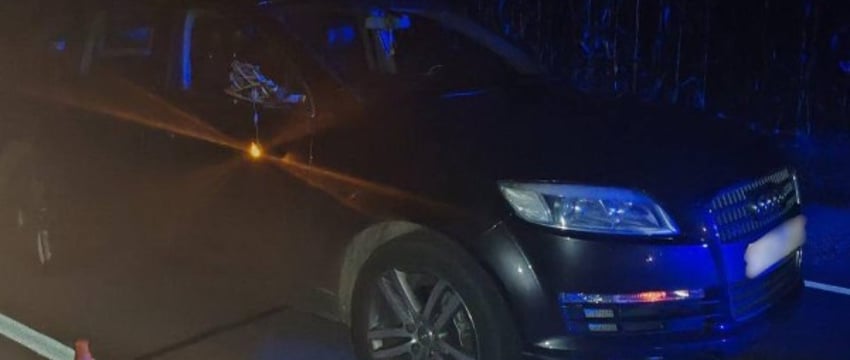 Пошел на обгон и сбил пешехода. Подробности ДТП в Брестской области