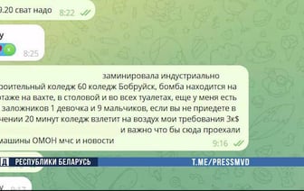 Подросток из Бобруйска предлагал в интернете заработать на «шуточных» звонках о минировании — теперь ему грозит до 7 лет тюрьмы