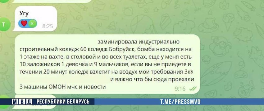 Подросток из Бобруйска предлагал в интернете заработать на «шуточных» звонках о минировании — теперь ему грозит до 7 лет тюрьмы