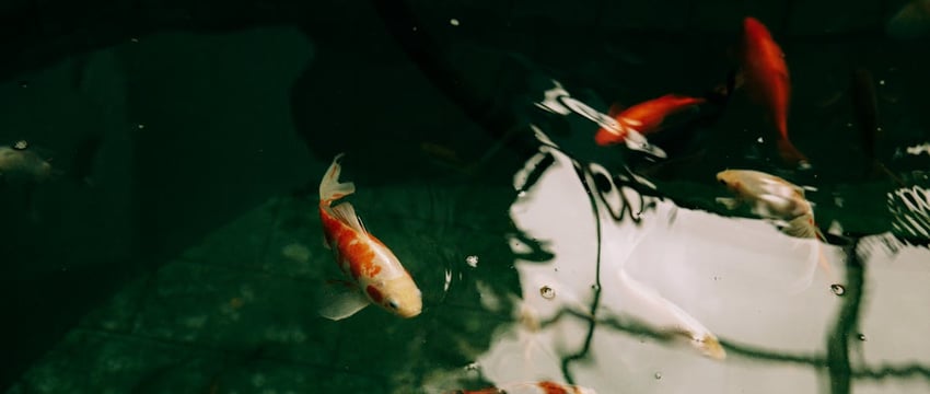 Впервые в мире создали полнометражный мультфильм с помощью ИИ. Он белорусский, и его покажут в Новополоцке