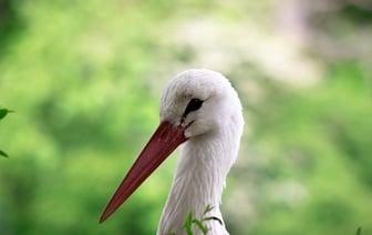 Сирены вместо СМС. В Беларуси поменяют систему оповещения во время непогоды