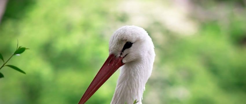 Сирены вместо СМС. В Беларуси поменяют систему оповещения во время непогоды