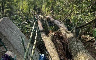 В Гомеле от урагана пострадали городские кладбища