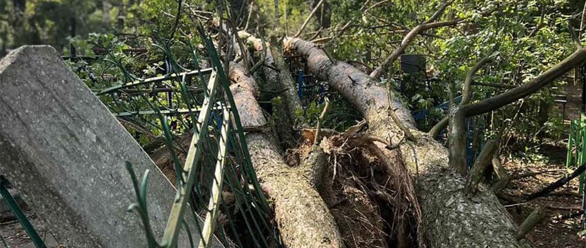 В Гомеле от урагана пострадали городские кладбища