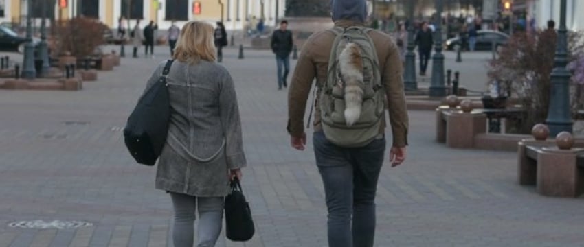 Чего ждать белорусам с 1 февраля