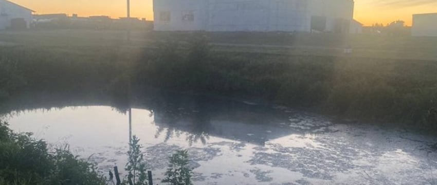 4-летнюю девочку, пропавшую в Каменецком районе, нашли мертвой