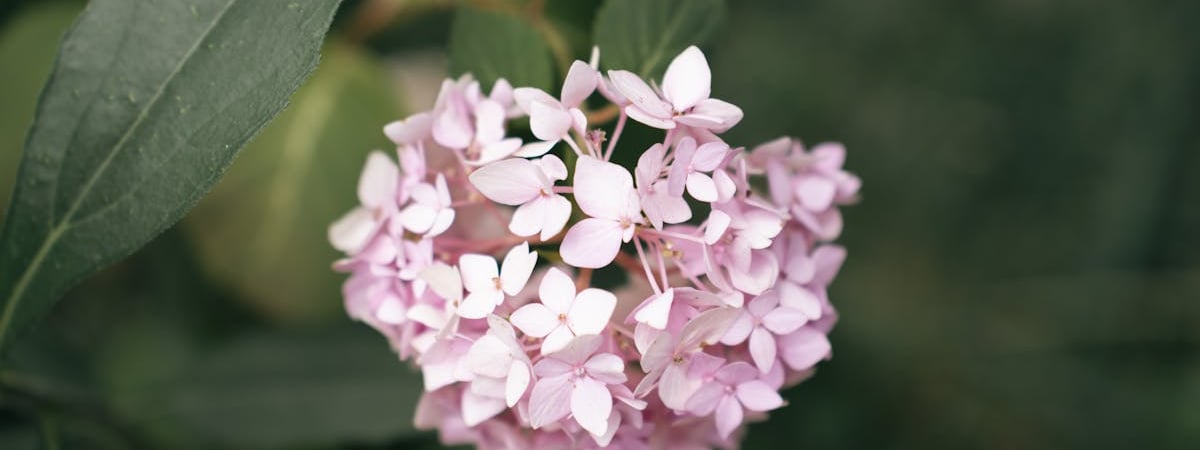 Власти Беларуси ставят цель нарастить экспорт в 2025 году до $52 млрд