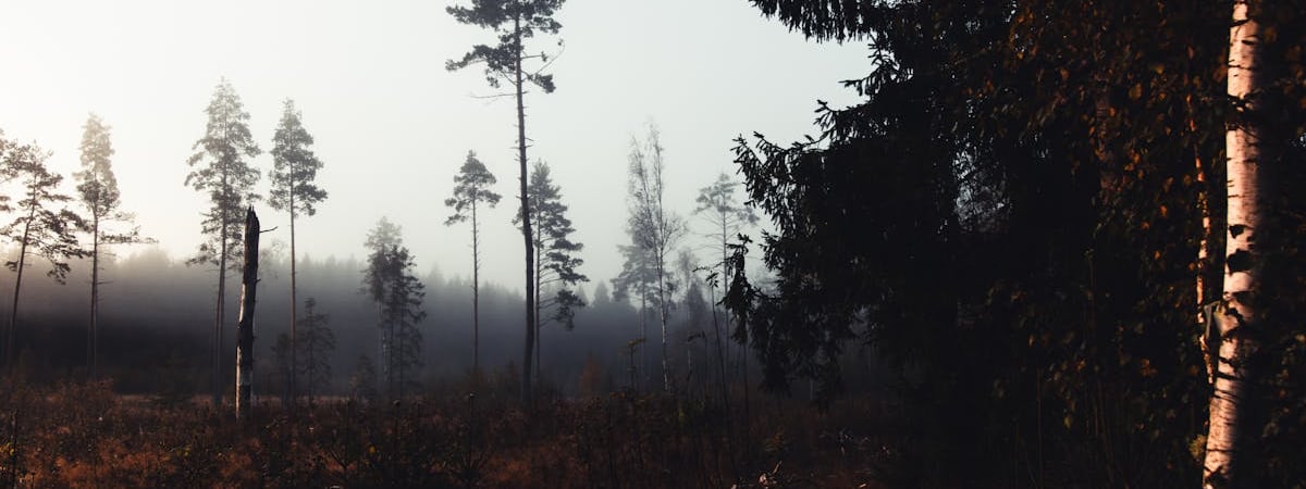 Швеция больше не будет финансировать Агентство по оказанию помощи палестинским беженцам