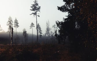 Швеция больше не будет финансировать Агентство по оказанию помощи палестинским беженцам