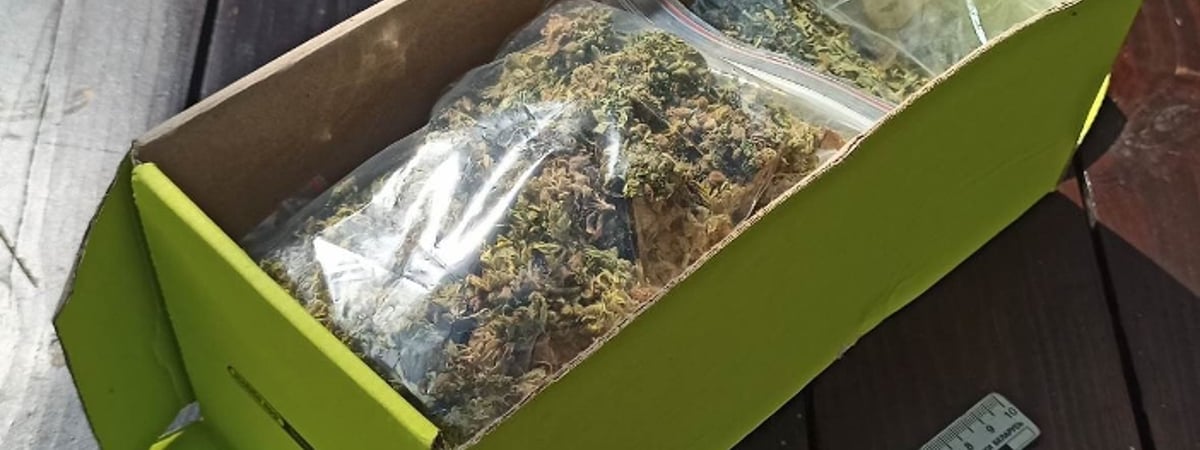 В Озерах мужчина хранил дома странное вещество — сейчас ему грозит тюрьма