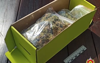 В Озерах мужчина хранил дома странное вещество — сейчас ему грозит тюрьма