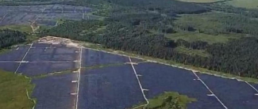 Самая крупная солнечная электростанция в Беларуси будет выставлена на аукцион. Какая стартовая цена?