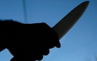 Белорус зарезал 24-летнего пасынка на даче — стало известно, как наказали мужчину