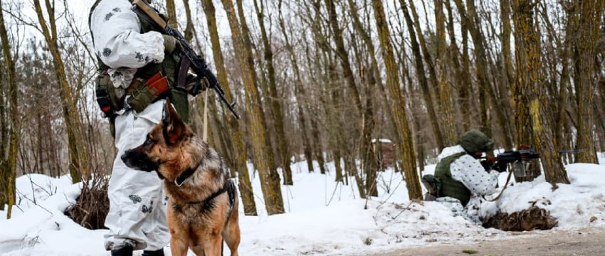 Силы спецопераций Беларуси остаются на усилении границы с Украиной