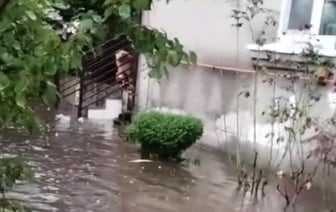 Житель Бреста показал, как затопило его двор