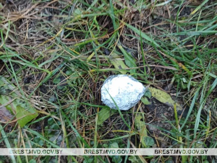 В Барановичах задержали 24-летнюю девушку