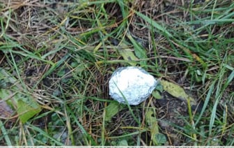 В Барановичах задержали 24-летнюю девушку. Что она сделала?