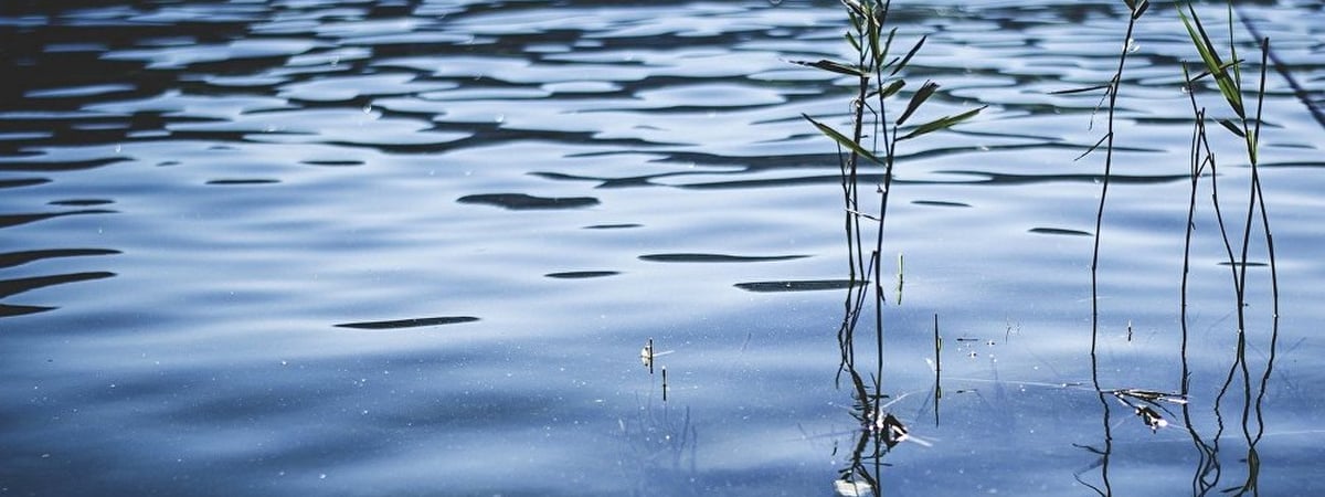 В Волковысском районе утонули двое — их пропажу по вещам обнаружил случайный прохожий