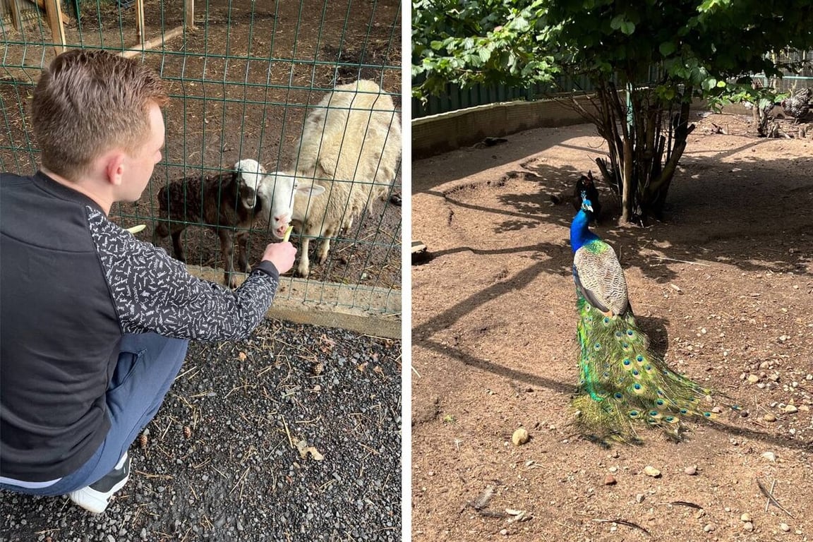 Белорус ударил автопробегом по стране на бюджетном VW Polo