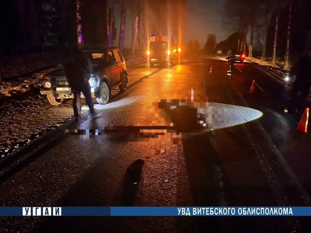 Под Витебском насмерть сбили пешехода, ДТП произошло вечером. Фото ГАИ
