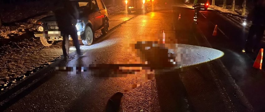Под Витебском насмерть сбили пешехода, ДТП произошло вечером