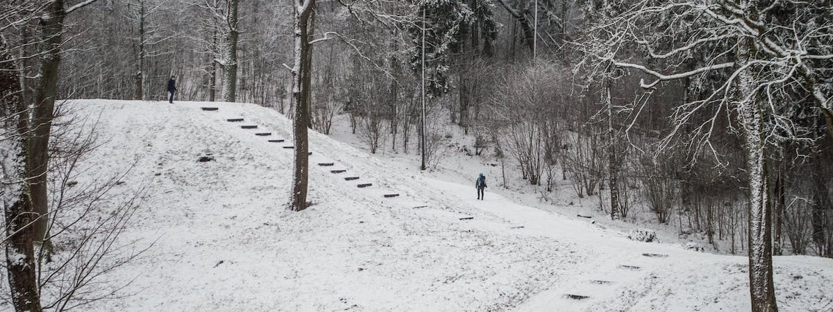 В Вильнюсе беларуса осудили за нападение на беларуское посольство