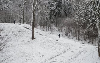 В Вильнюсе беларуса осудили за нападение на беларуское посольство