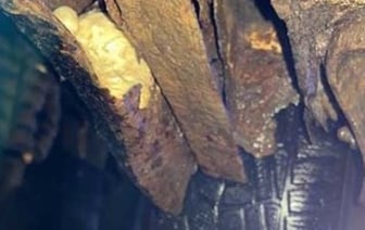 В Германии остановили авто из Беларуси в плачевном состоянии