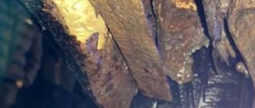В Германии остановили авто из Беларуси в плачевном состоянии
