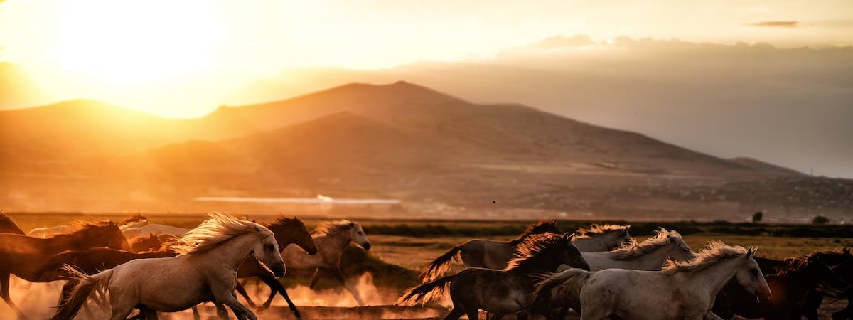 Власти России объявили в розыск создателя «Масяни»