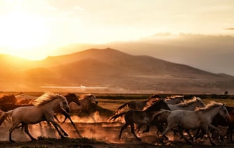 Власти России объявили в розыск создателя «Масяни»