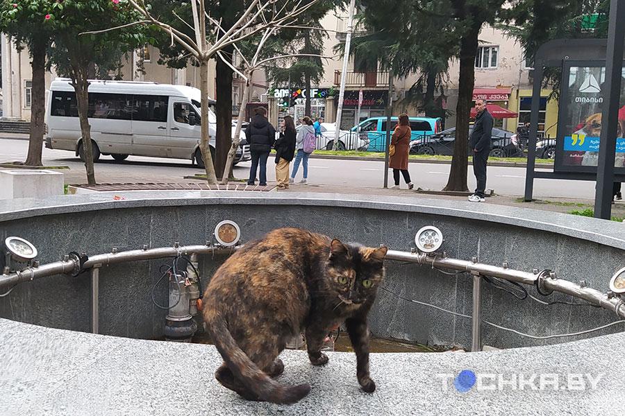 Белоруска рассказала о жизни в Батуми