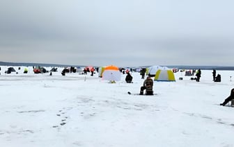 «Очень скромно, 20 рыбин» – На Зельвенском водохранилище собралось не меньше тысячи рыбаков — Фото